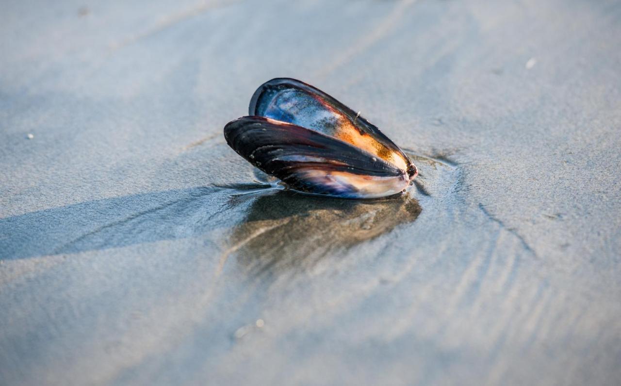 Wild Pacific Guest Suites Юклулет Екстер'єр фото